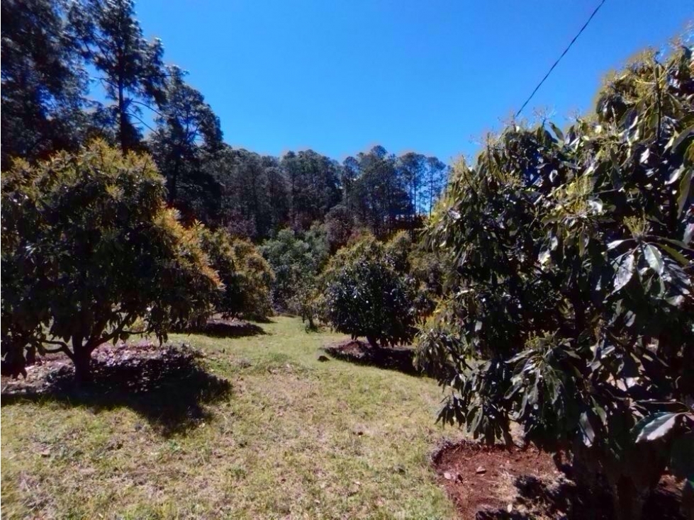 RANCHO CON MANANTIAL | DONATO GUERRA - 5