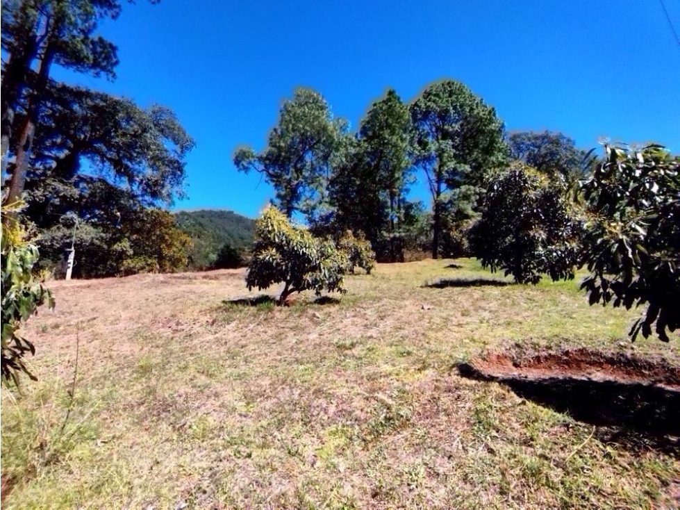 RANCHO CON MANANTIAL | DONATO GUERRA - 6