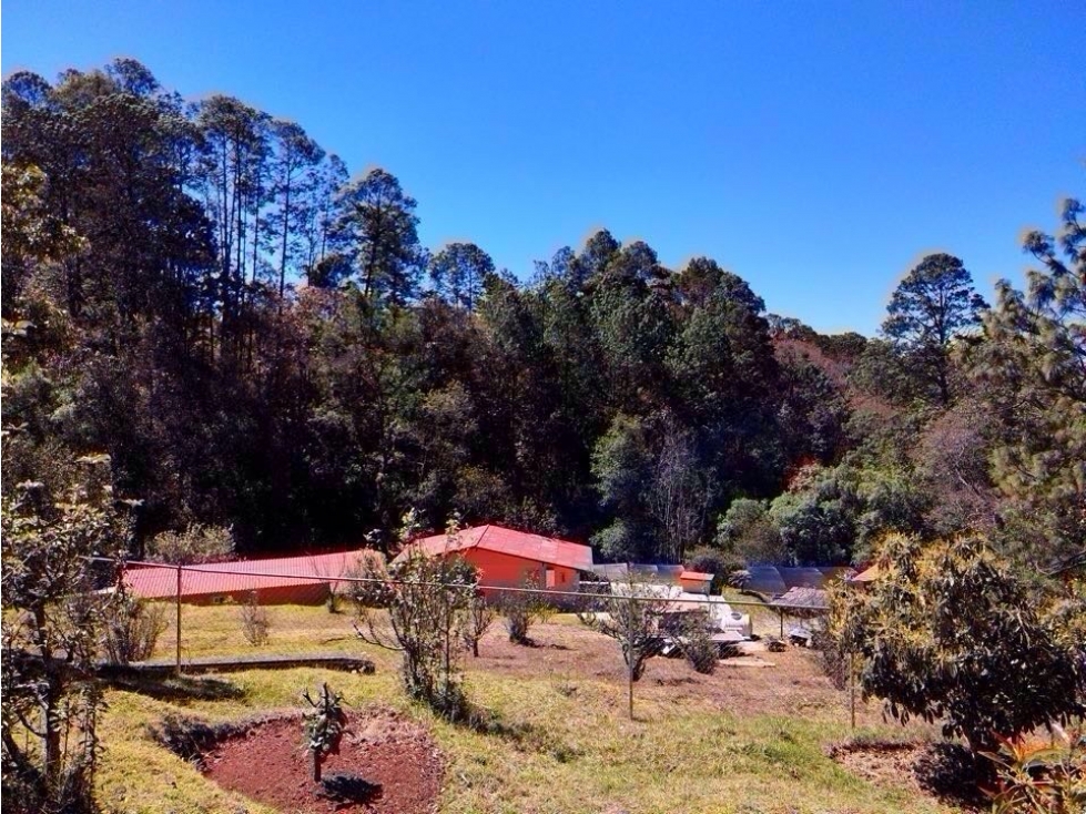 RANCHO CON MANANTIAL | DONATO GUERRA - 3