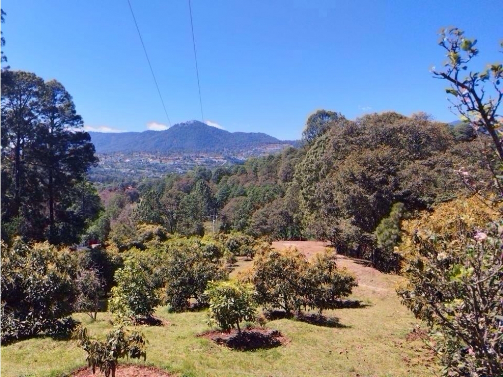 RANCHO CON MANANTIAL | DONATO GUERRA - 2