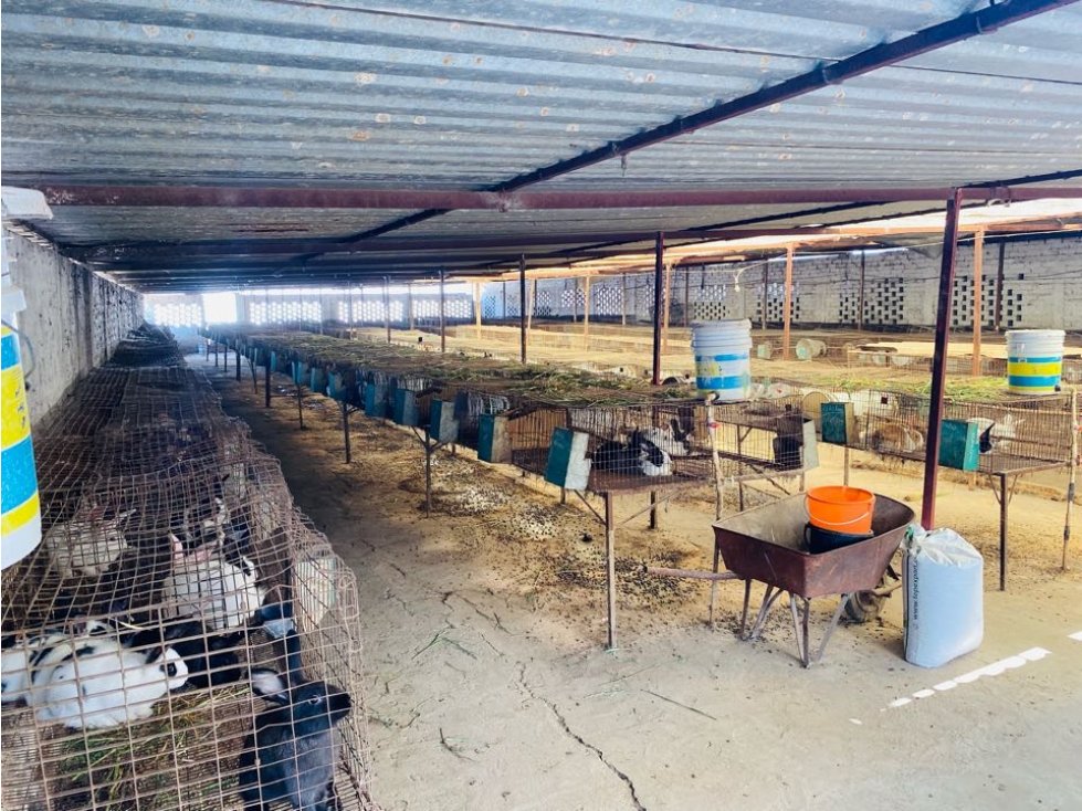RANCHO ECUESTRE EN TEXCOCO - 5