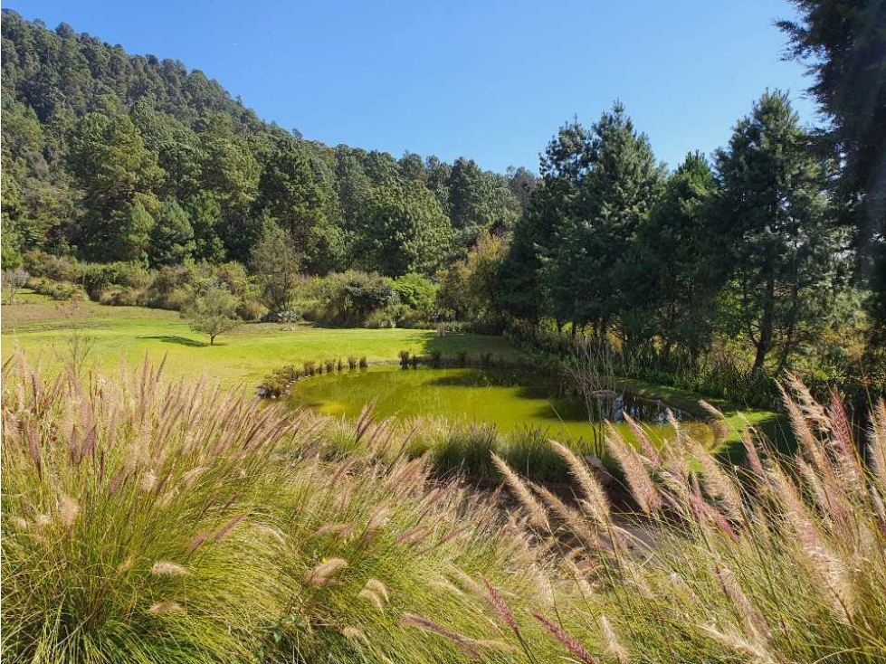 Rancho en renta y venta Valle de Bravo - 4
