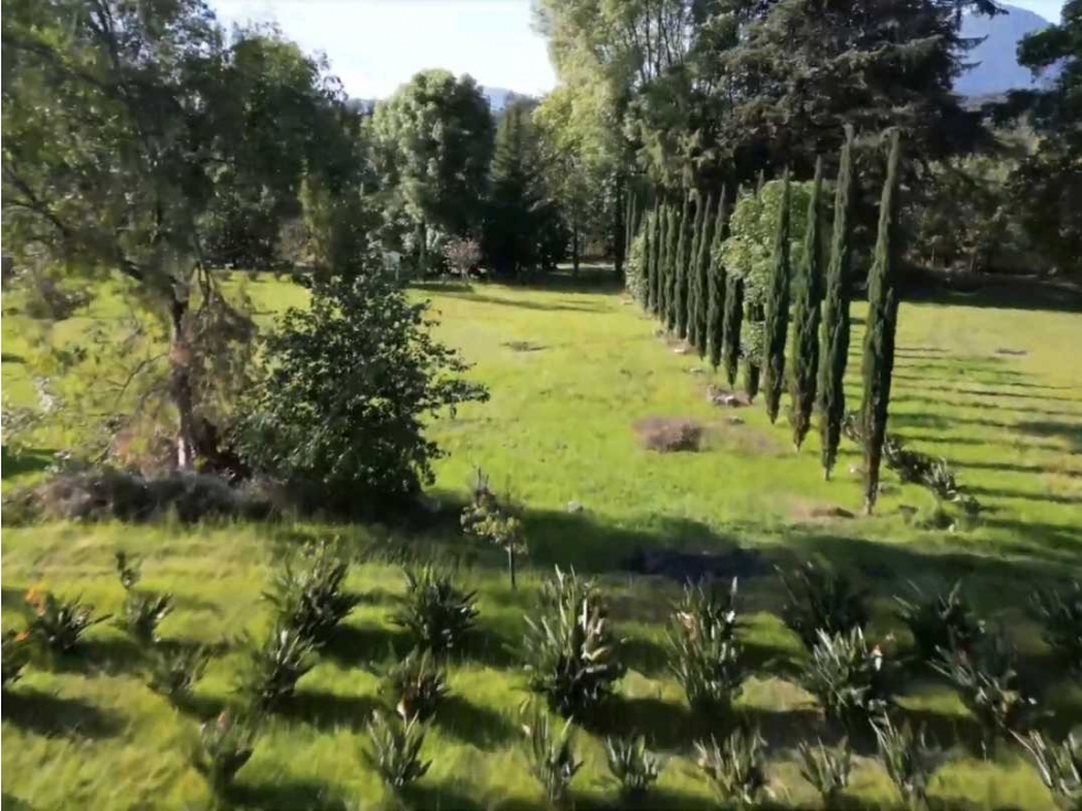 RANCHO EN VENTA CON EXCELENTE CLIMA - 3