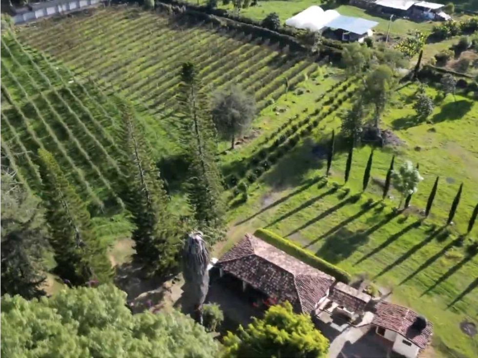 RANCHO EN VENTA CON EXCELENTE CLIMA - 5