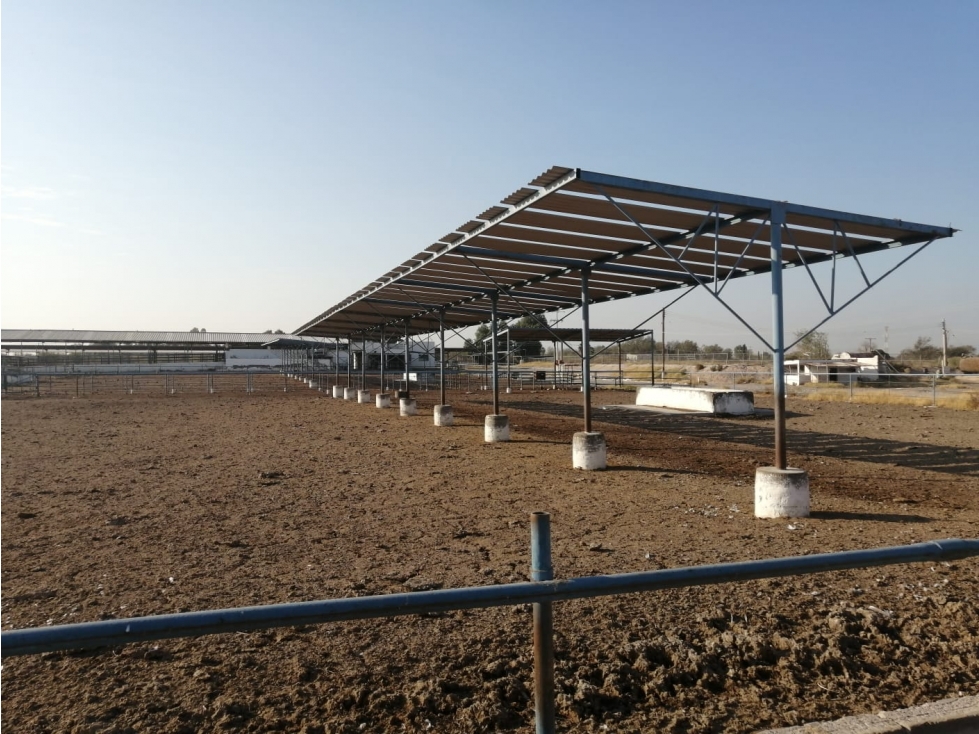 Rancho en Venta - Agrícola La Popular, Gómez Palacio, Durango - 1