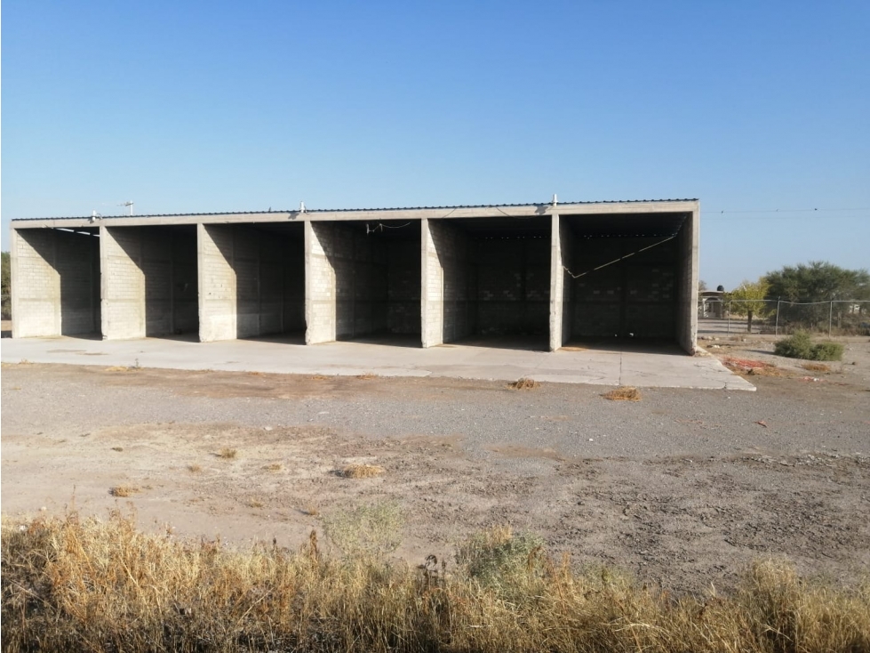 Rancho en Venta - Agrícola La Popular, Gómez Palacio, Durango - 2