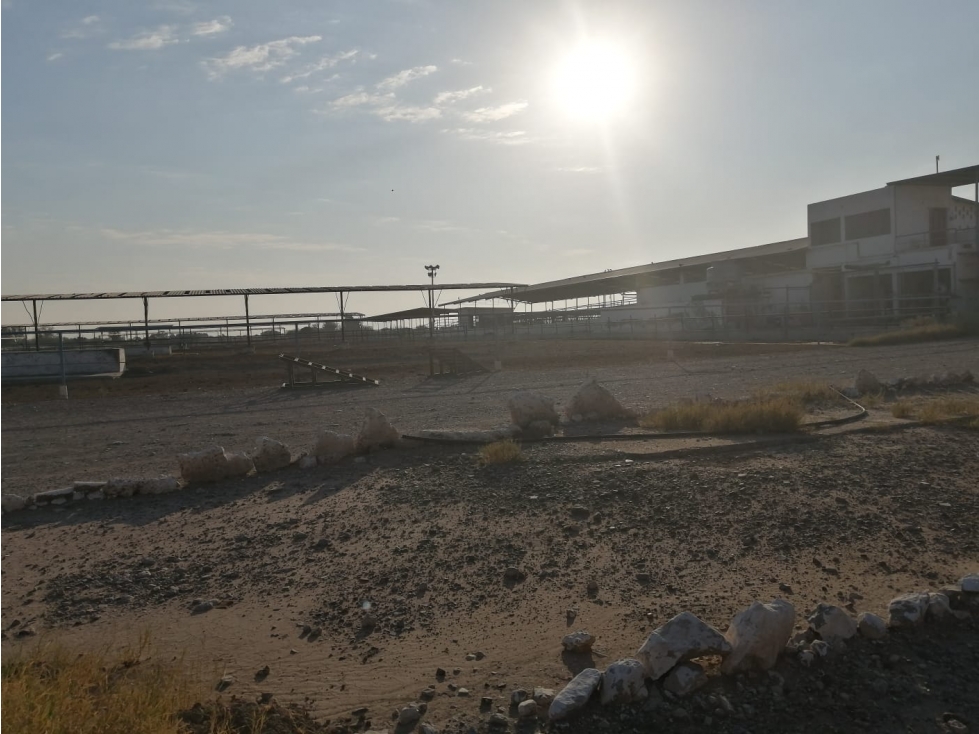Rancho en Venta - Agrícola La Popular, Gómez Palacio, Durango - 3
