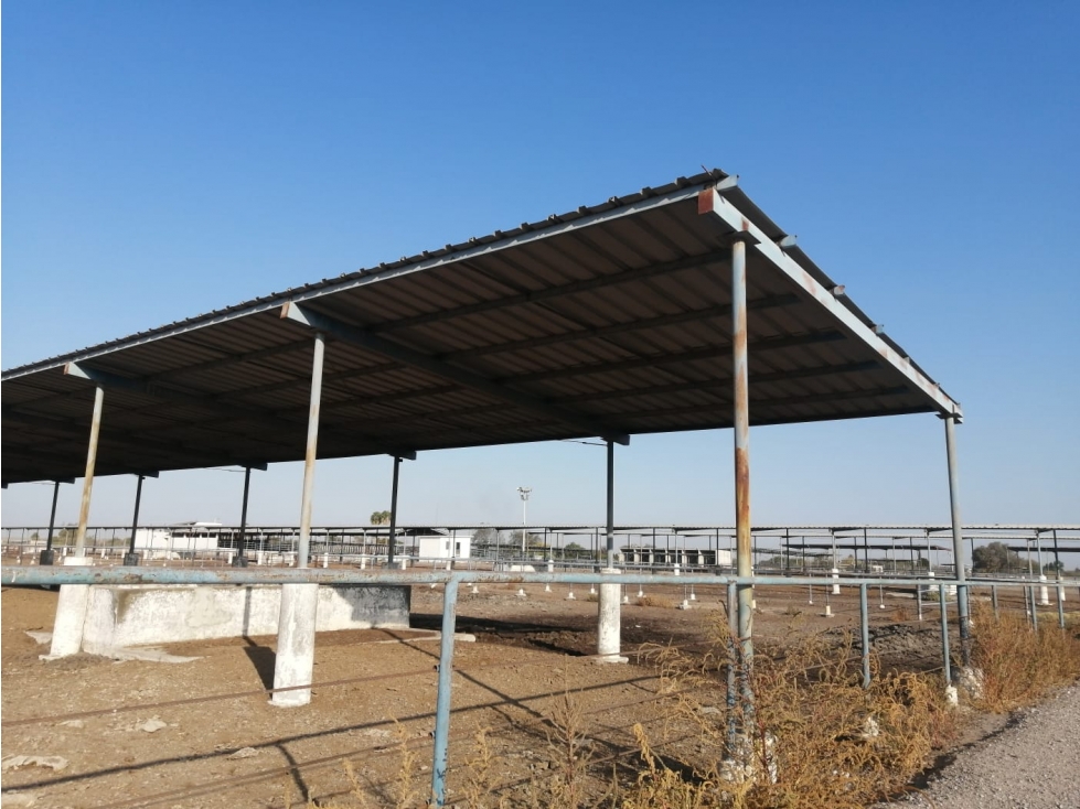 Rancho en Venta - Agrícola La Popular, Gómez Palacio, Durango - 4