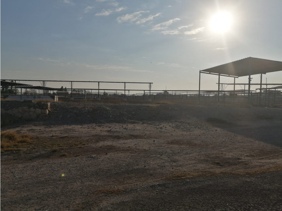 Rancho en Venta - Agrícola La Popular, Gómez Palacio, Durango - 5