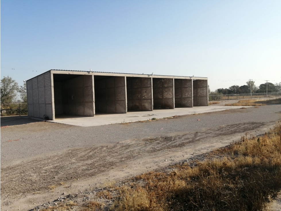 Rancho en Venta - Agrícola La Popular, Gómez Palacio, Durango - 6