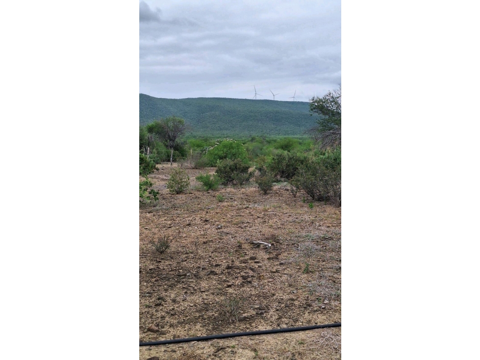 RANCHO EN VENTA TAMAULIPAS_LPCH - 1