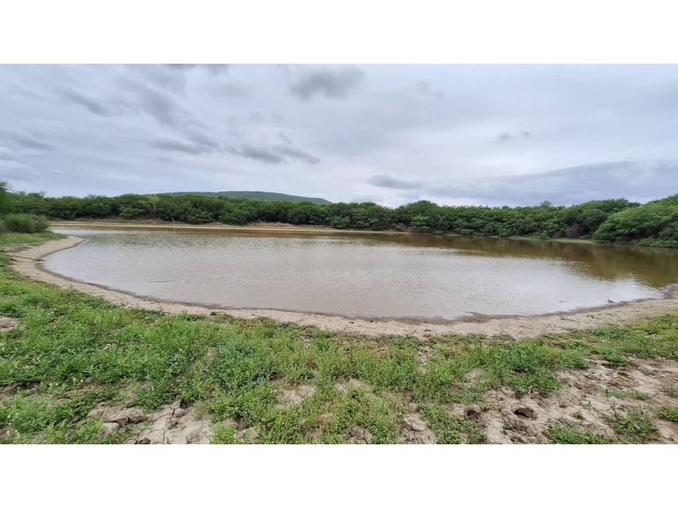 RANCHO EN VENTA TAMAULIPAS_LPCH - 4