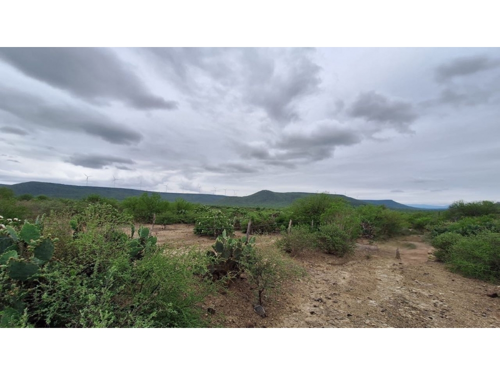 RANCHO EN VENTA TAMAULIPAS_LPCH - 5