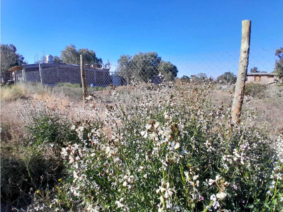 Lote en Venta 928 m2 en B°Raices del Pedemonte, Lujan de Cuyo, Mendoza - 3