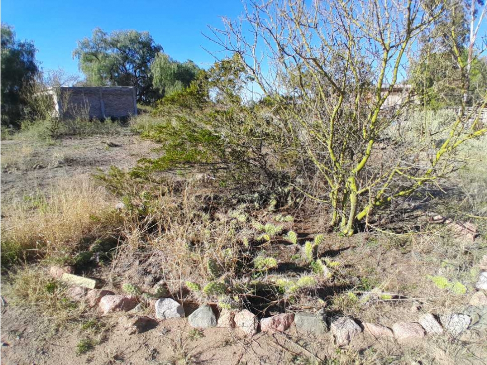 Lote en Venta 928 m2 en B°Raices del Pedemonte, Lujan de Cuyo, Mendoza - 5