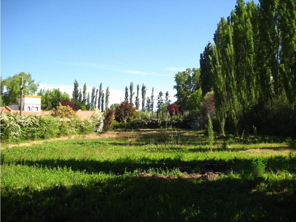 Terreno en venta 1200 m2 en Chacras de Coria, Luján de Cuyo - 1