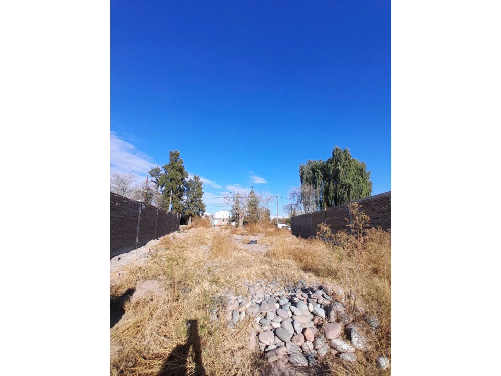 Terreno en Venta 1.567 m2 en calle Barcala, Maipú, Mendoza. - 6
