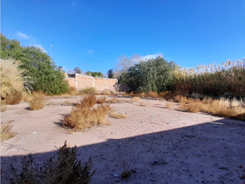 Terreno en Venta 1.567 m2 en calle Barcala, Maipú, Mendoza. - 4