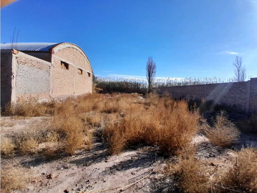 Terreno en Venta 1.567 m2 en calle Barcala, Maipú, Mendoza. - 5