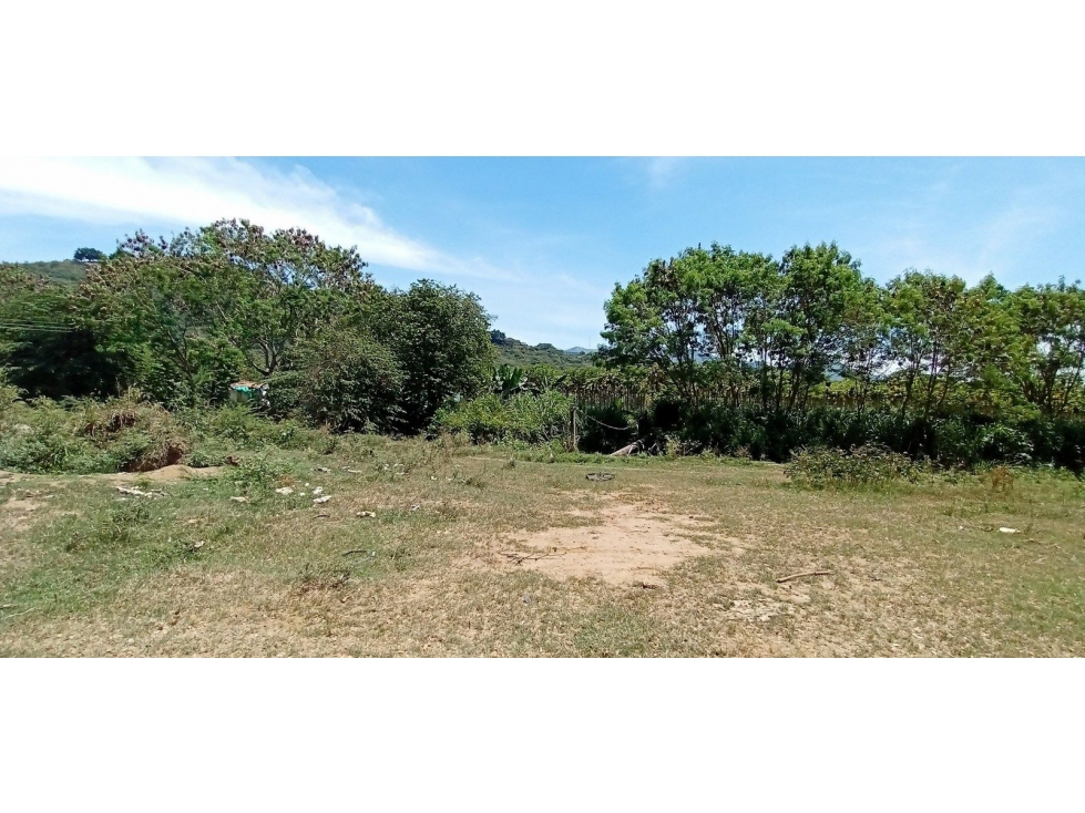 REGION DE SAN JUANITO LT - 1