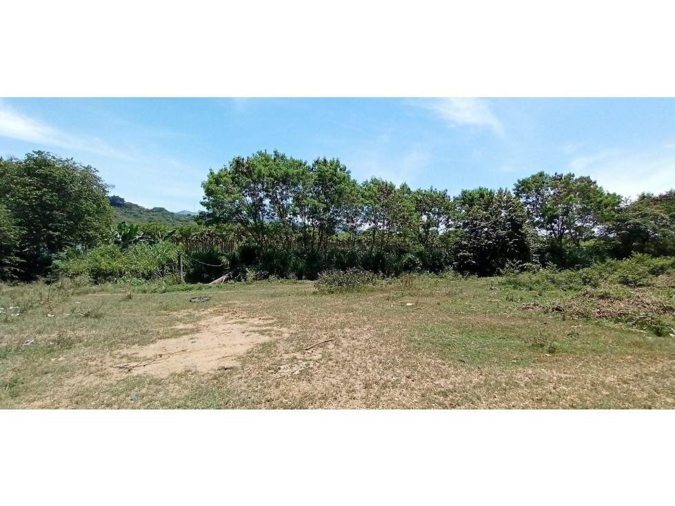 REGION DE SAN JUANITO LT - 2