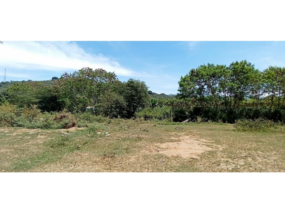 REGION DE SAN JUANITO LT - 3