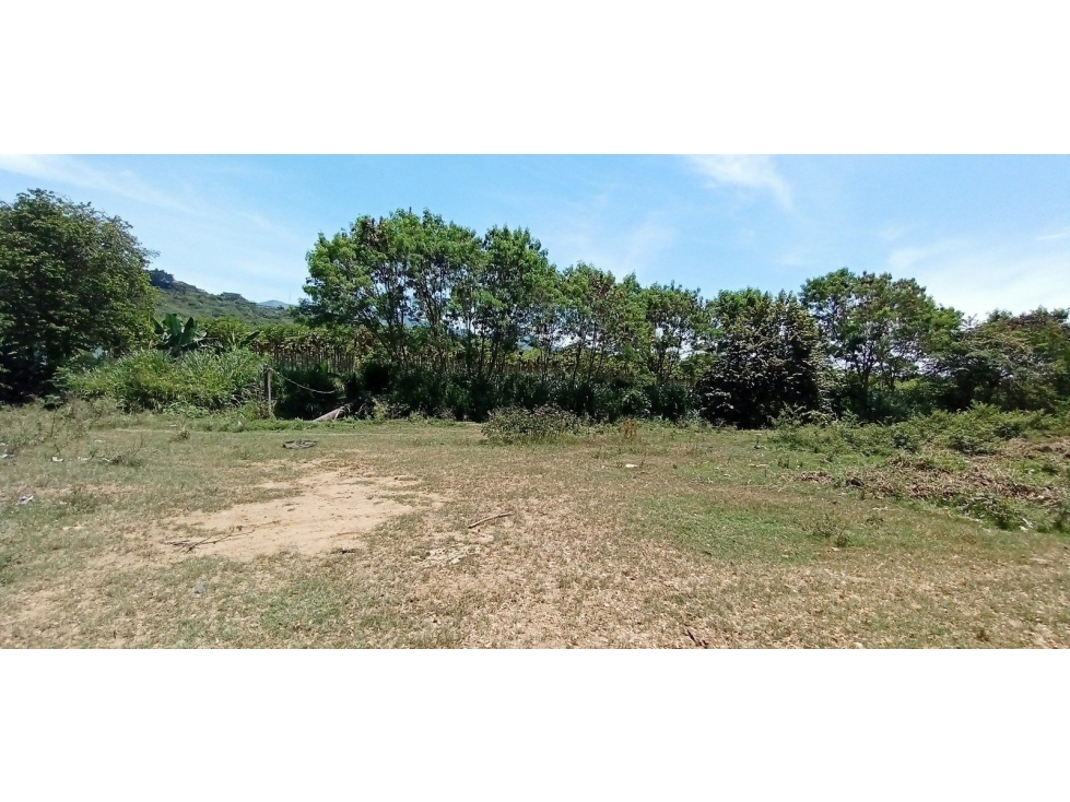 REGION DE SAN JUANITO LT - 4