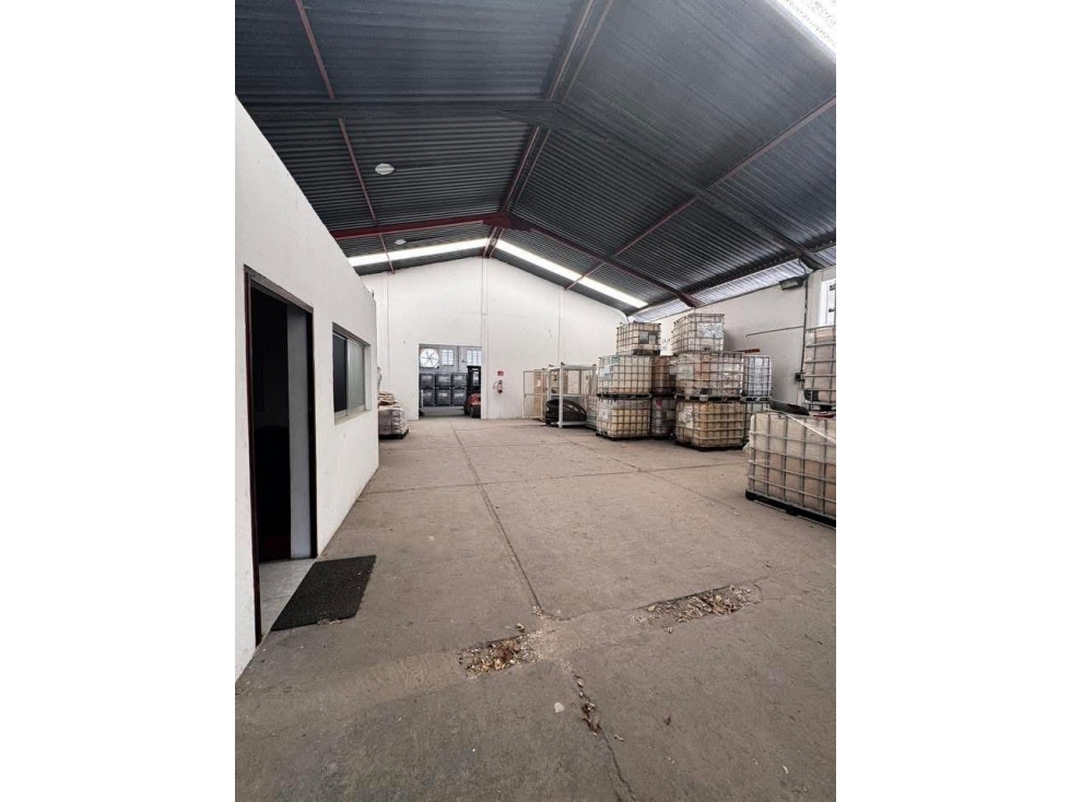 RENTA BODEGA CON OFICINA DENTRO DEL PUERTO CIUDAD DEL CARMEN - 3