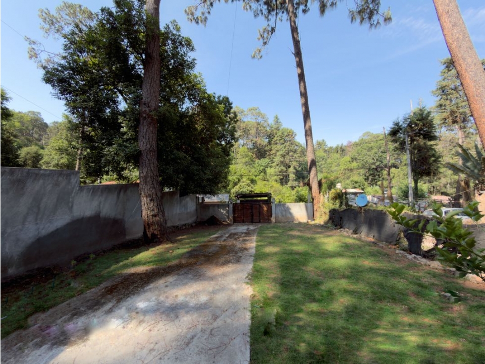 RENTA DE CASA CON JARDIN I AVANDARO — foto 6
