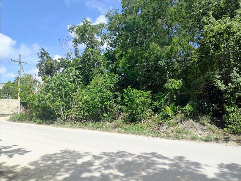 Renta de Terreno Premium en Cancún