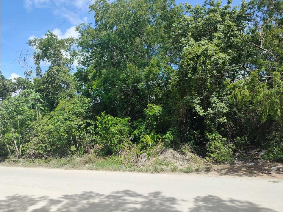 Renta de Terreno Premium en Cancún - 5