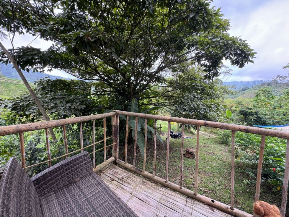 RENTO APARTAMENTO CAMPESTRE EN LA VEREDA GORGONIA SANTA ROSA DE CABAL - 5