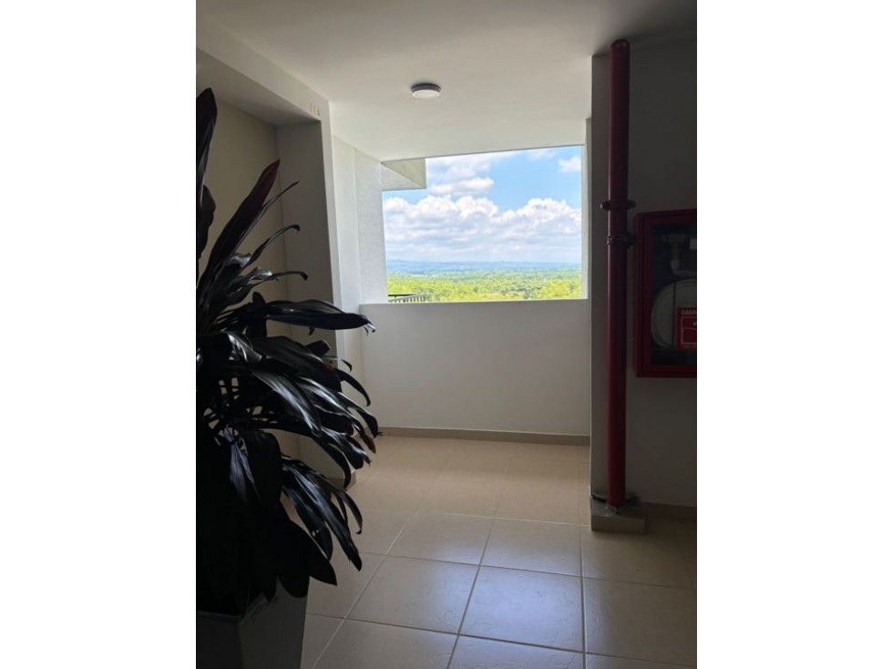 RENTO APARTAMENTO EN GALICIA PEREIRA - 5