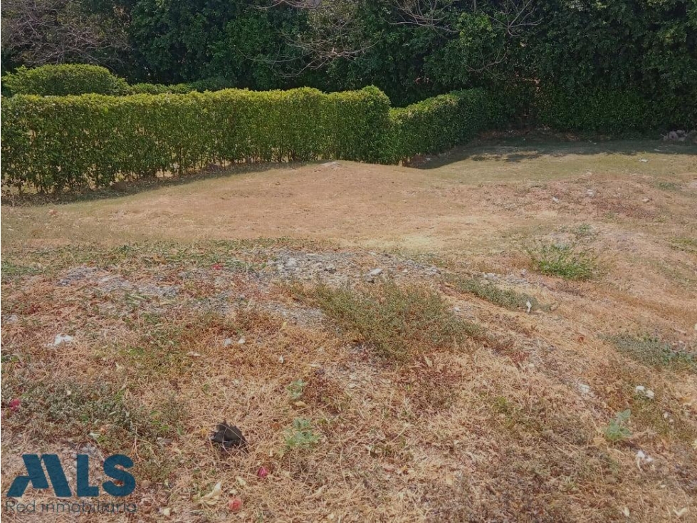 Rodéate de verde y aire puro.(MLS#245122) - 1