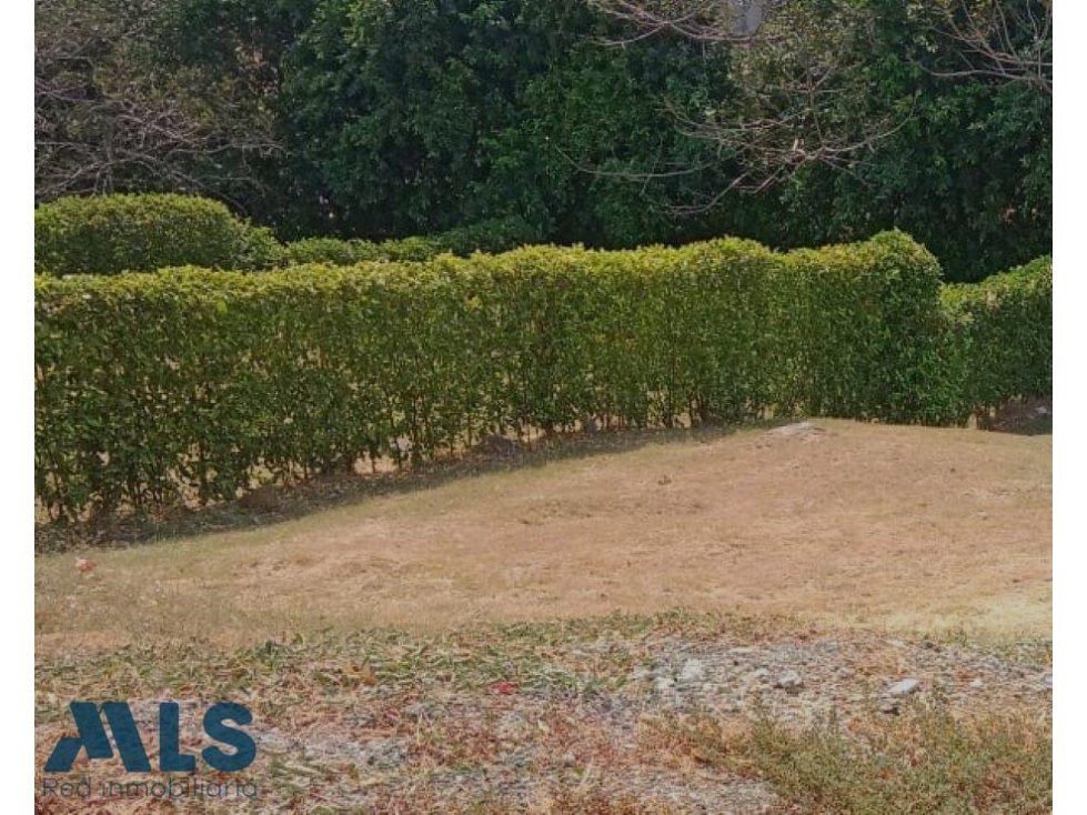 Rodéate de verde y aire puro.(MLS#245122) - 3