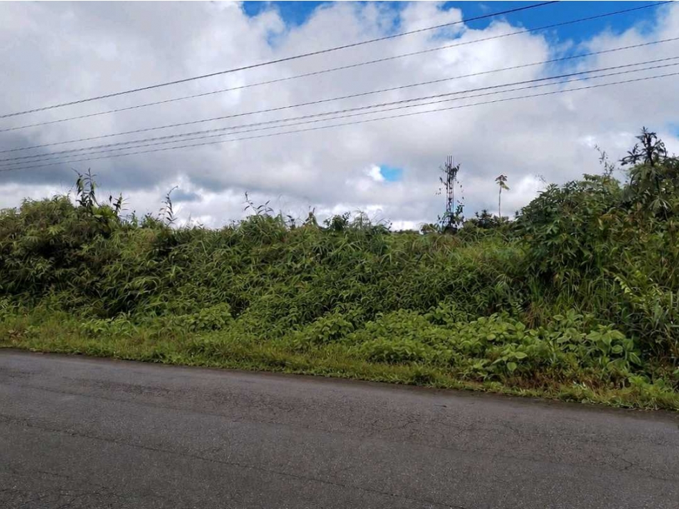 San Lorenzo, Esmeraldas Venta Terreno de 50,2 Ha - 4