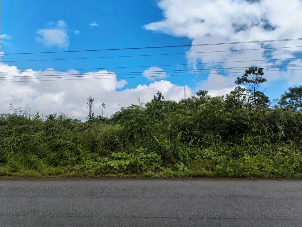 San Lorenzo, Esmeraldas Venta Terreno de 50,2 Ha - 2
