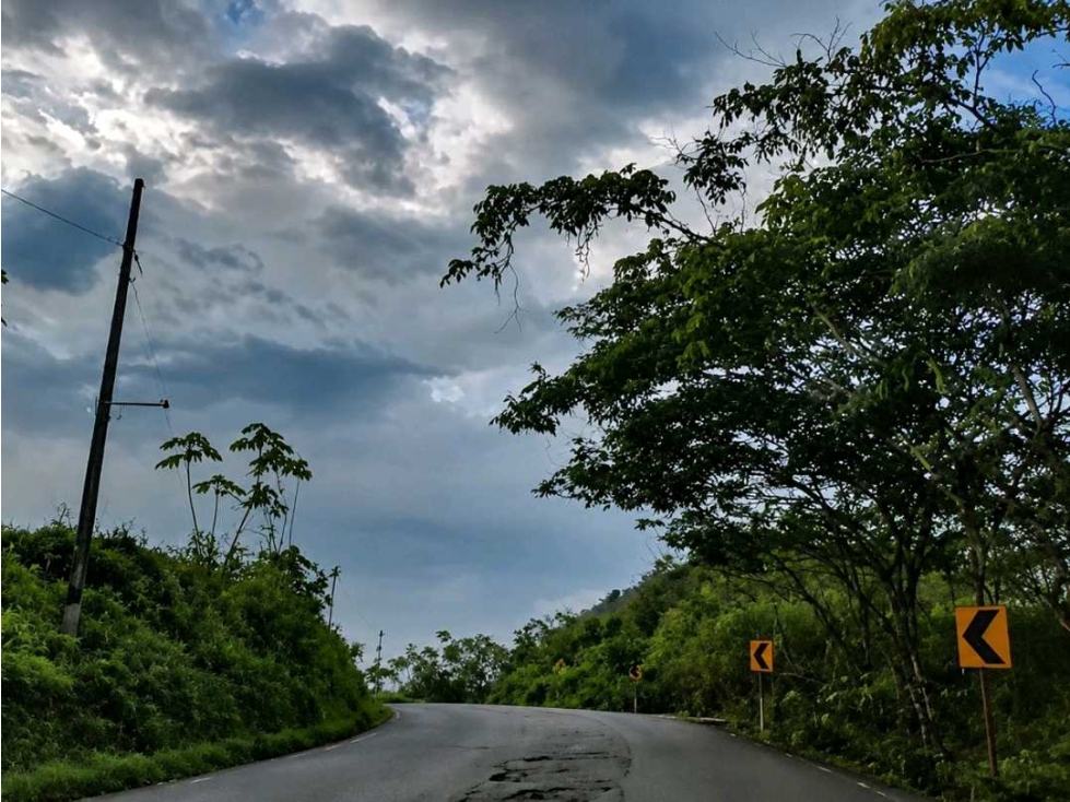 San Lorenzo, Esmeraldas Venta Terreno de 50,2 Ha - 5