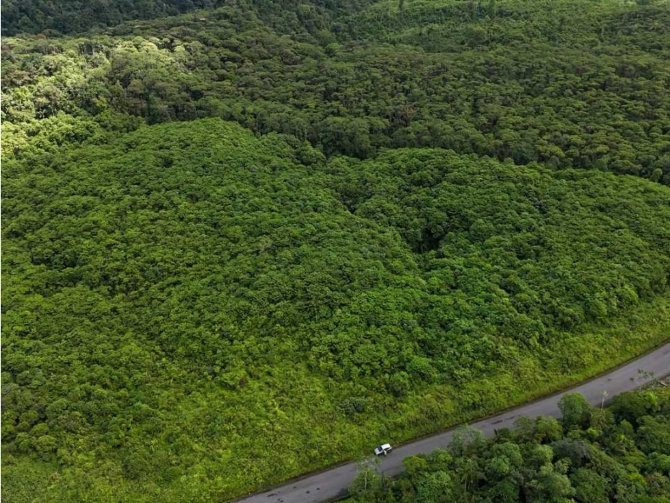 San Lorenzo, Esmeraldas Venta Terreno de 50,2 Ha - 6