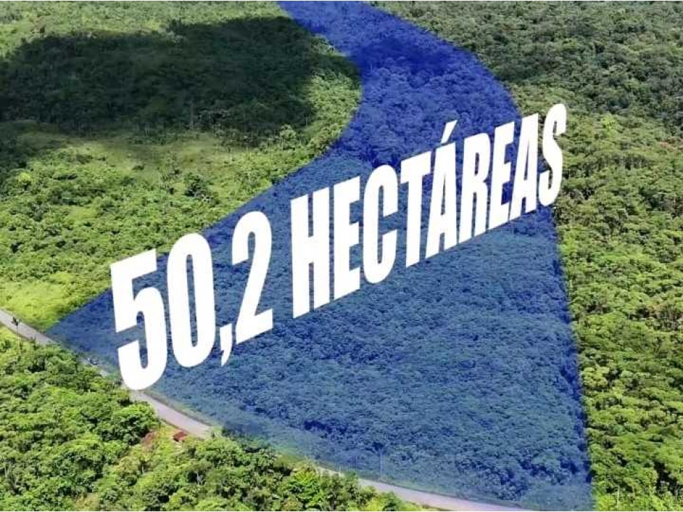 San Lorenzo, Esmeraldas Venta Terreno de 50,2 Ha - 1