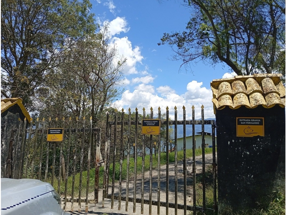 SANTA CECILIA - 1