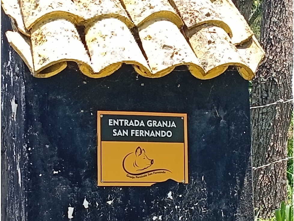 SANTA CECILIA - 2