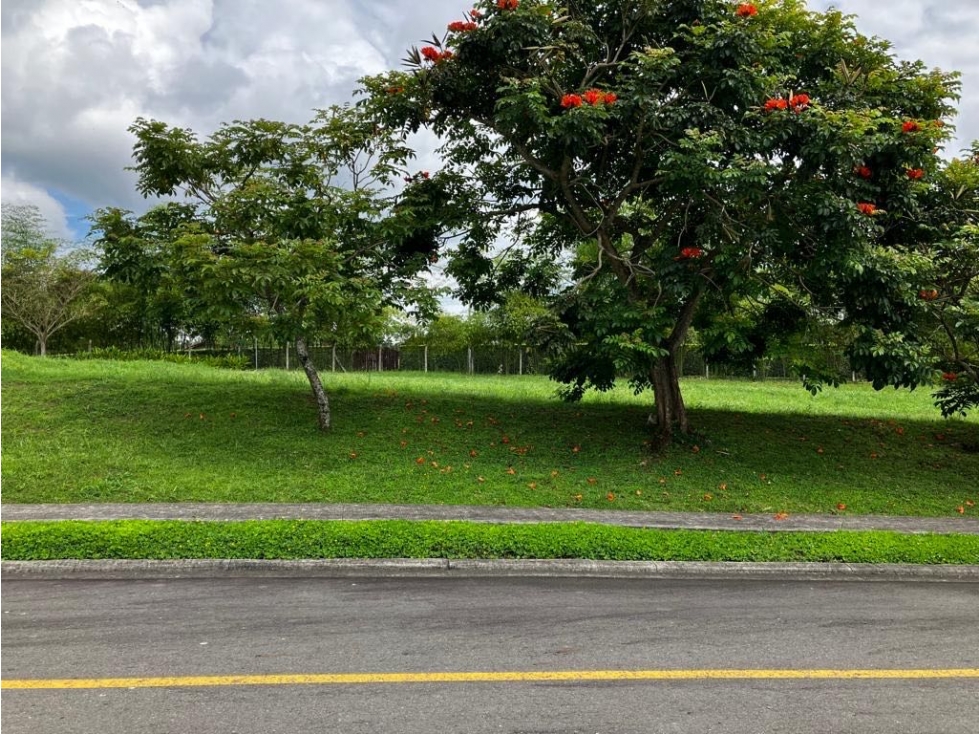 SC SE VENDE LOTE EN CERRITOS — foto 6