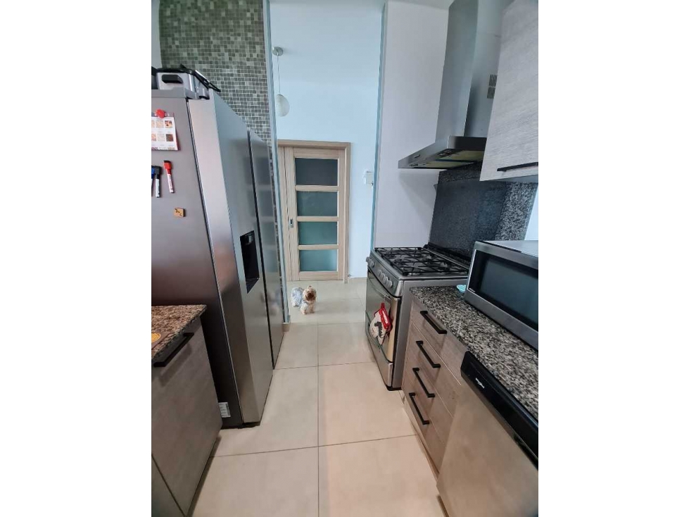 SE ALQUILA APARTAMENTO DE PLAYA PH SANTA CLARA RESIDENCES - 6