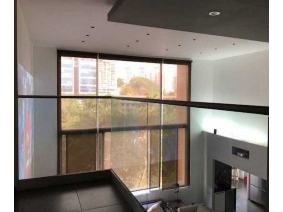 SE ALQUILA APARTAMENTO EN EL CANGREJO 200 M2 - 3
