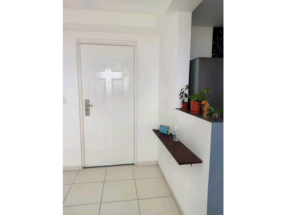 SE ALQUILA APARTAMENTO LINEA BLANCA EN EL CRISOL — foto 4
