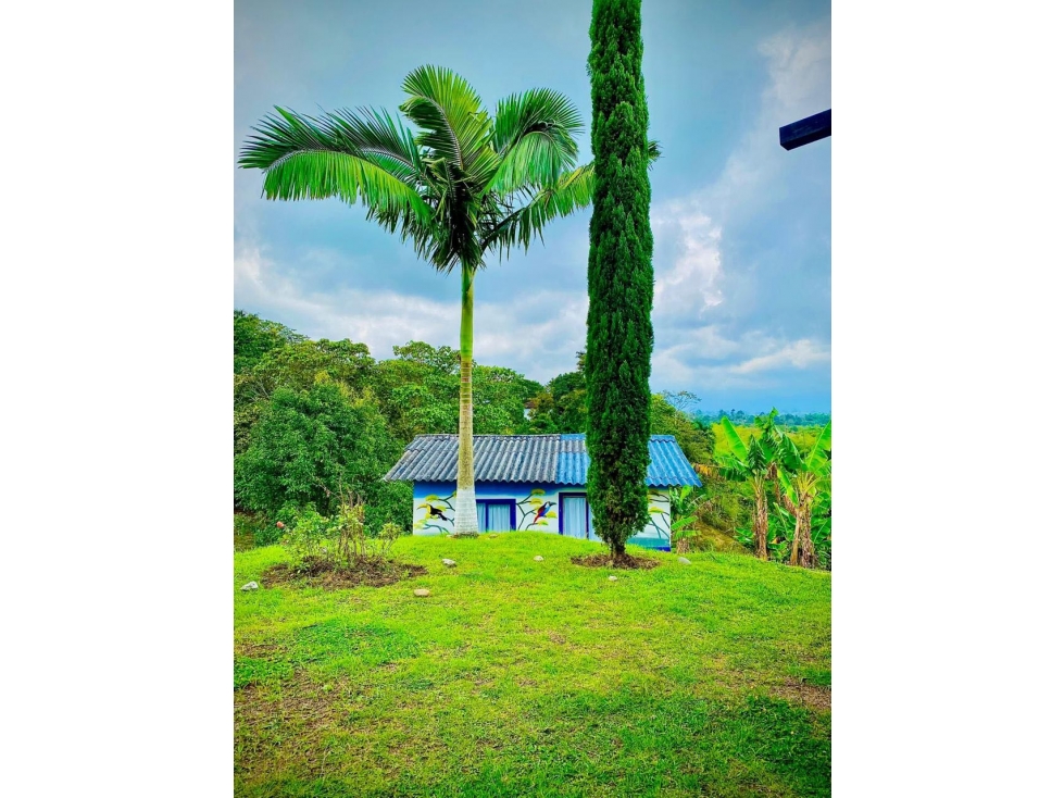 SE ALQUILA FINCA POR DÍAS EN FILANDIA ,QUINDIO - 3