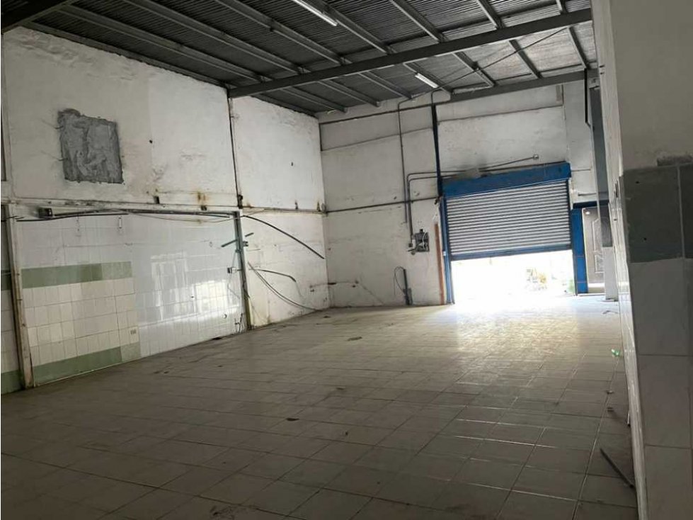 Se alquila galera de 300 mts en Río abajo con buena altura $2000