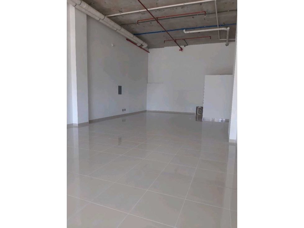 SE ALQUILA LOCAL COMERCIAL EN PARQUE LEFEVRE — foto 5