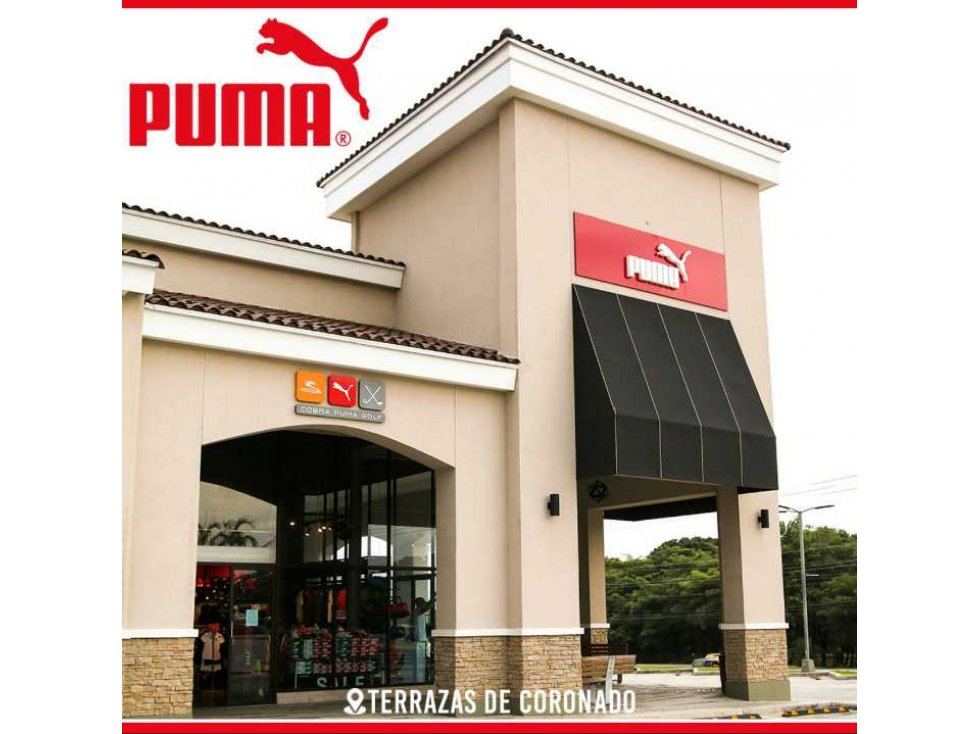 Se alquila Local Comercial Villa Zaita - 2